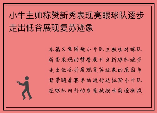 小牛主帅称赞新秀表现亮眼球队逐步走出低谷展现复苏迹象